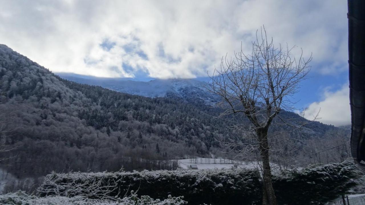 Chalet L'Oustaou 2 - Col Du Tourmalet - La Mongie Campan Εξωτερικό φωτογραφία